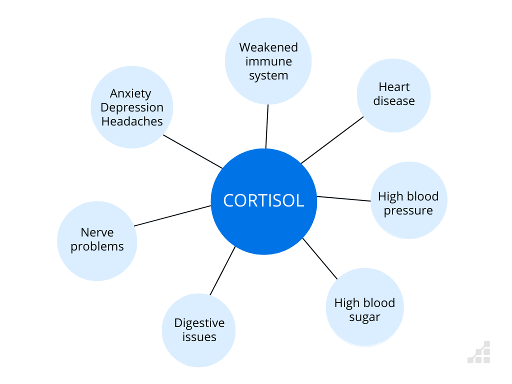 Diagram of negative effects from pumping too much Cortisol 